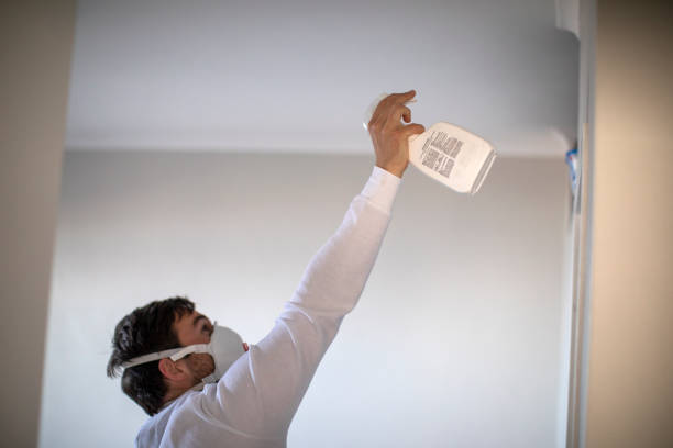 Best Emergency Mold Removal  in Elkader, IA