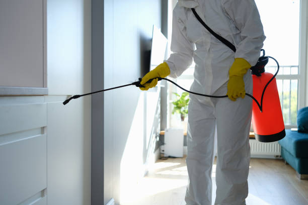 Best Mold Cleaning Services  in Elkader, IA