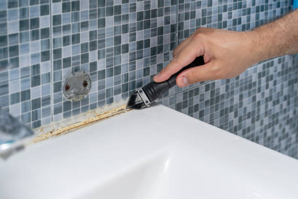 Best Mold Testing  in Elkader, IA