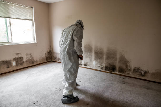Best Crawl Space Mold Removal  in Elkader, IA