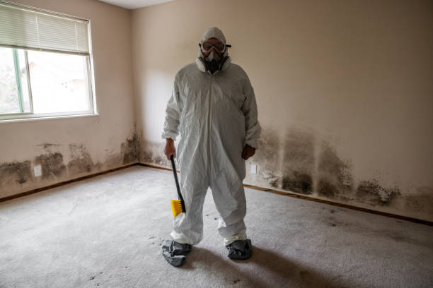 Best Commercial Mold Removal  in Elkader, IA